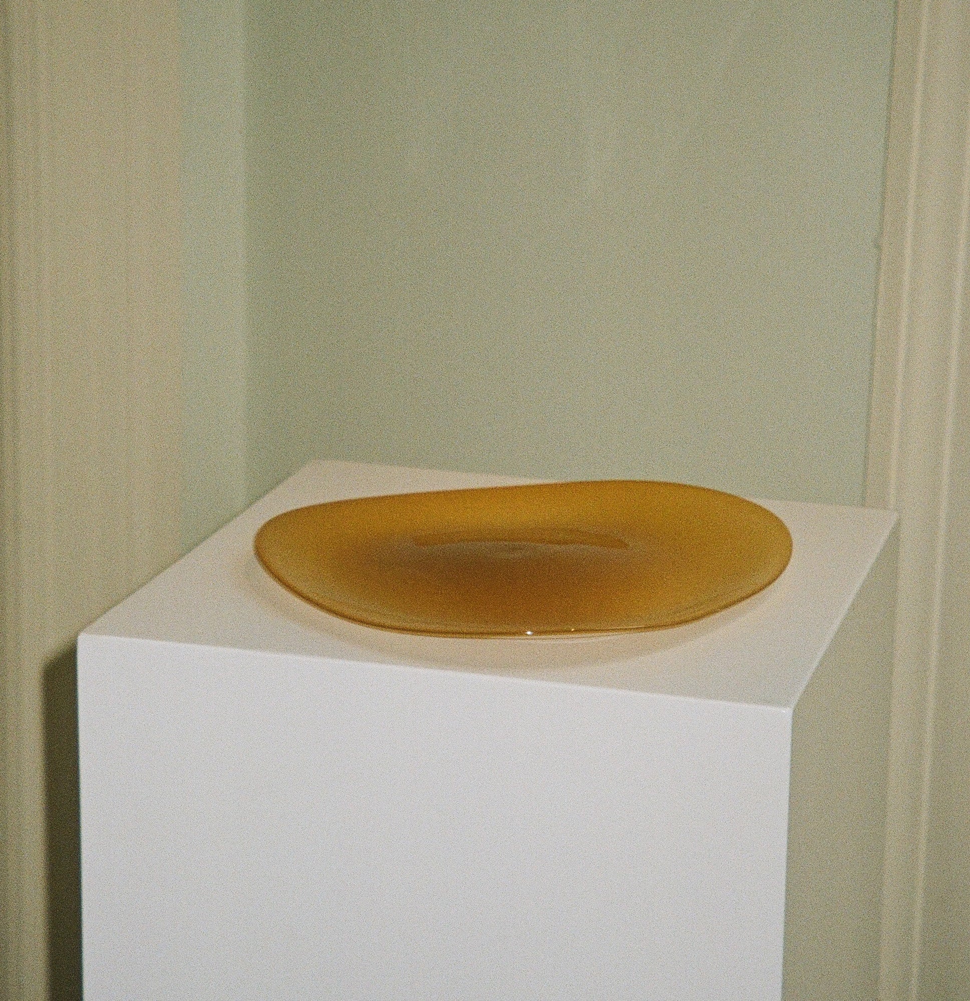 The Plate